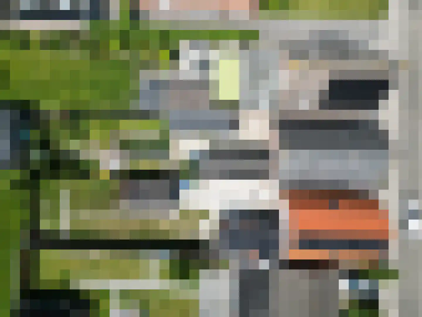 Noordstraat 21 Biervliet thumbnail 12