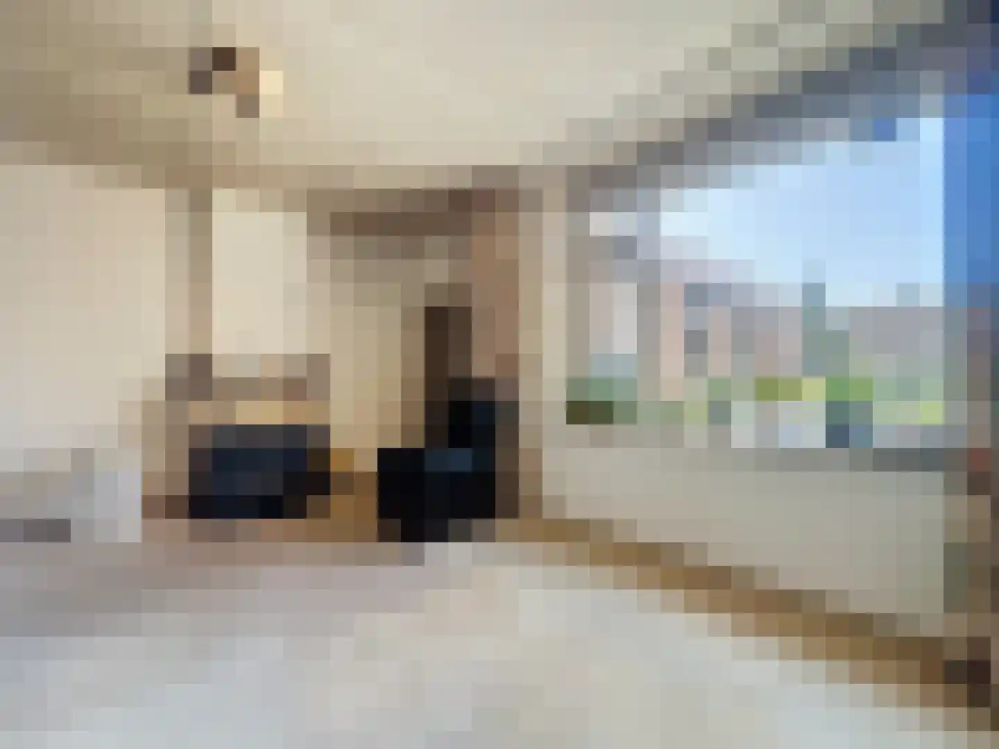 Noordstraat 21 Biervliet thumbnail 4