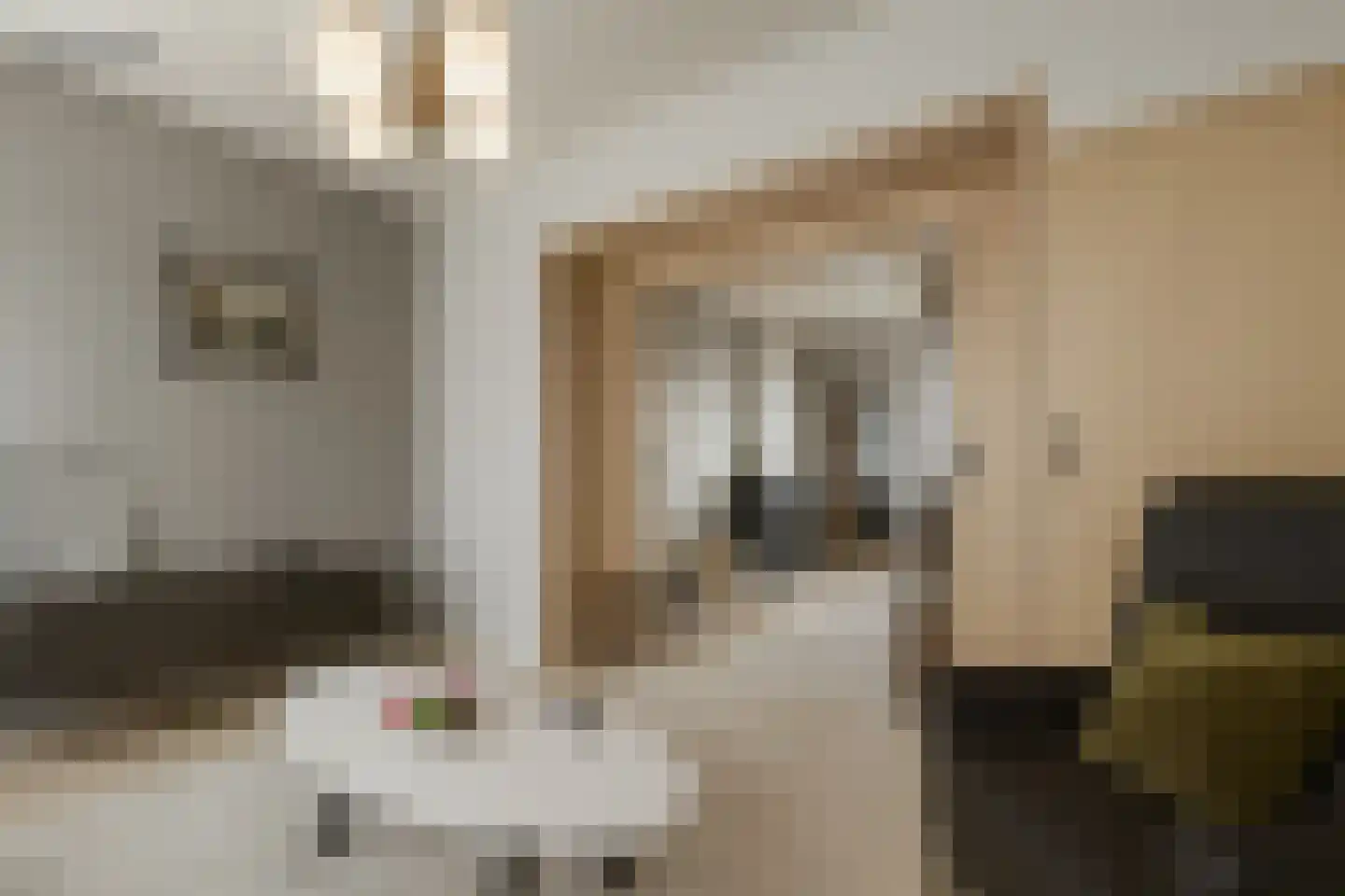 Noordstraat 21 Biervliet thumbnail 6