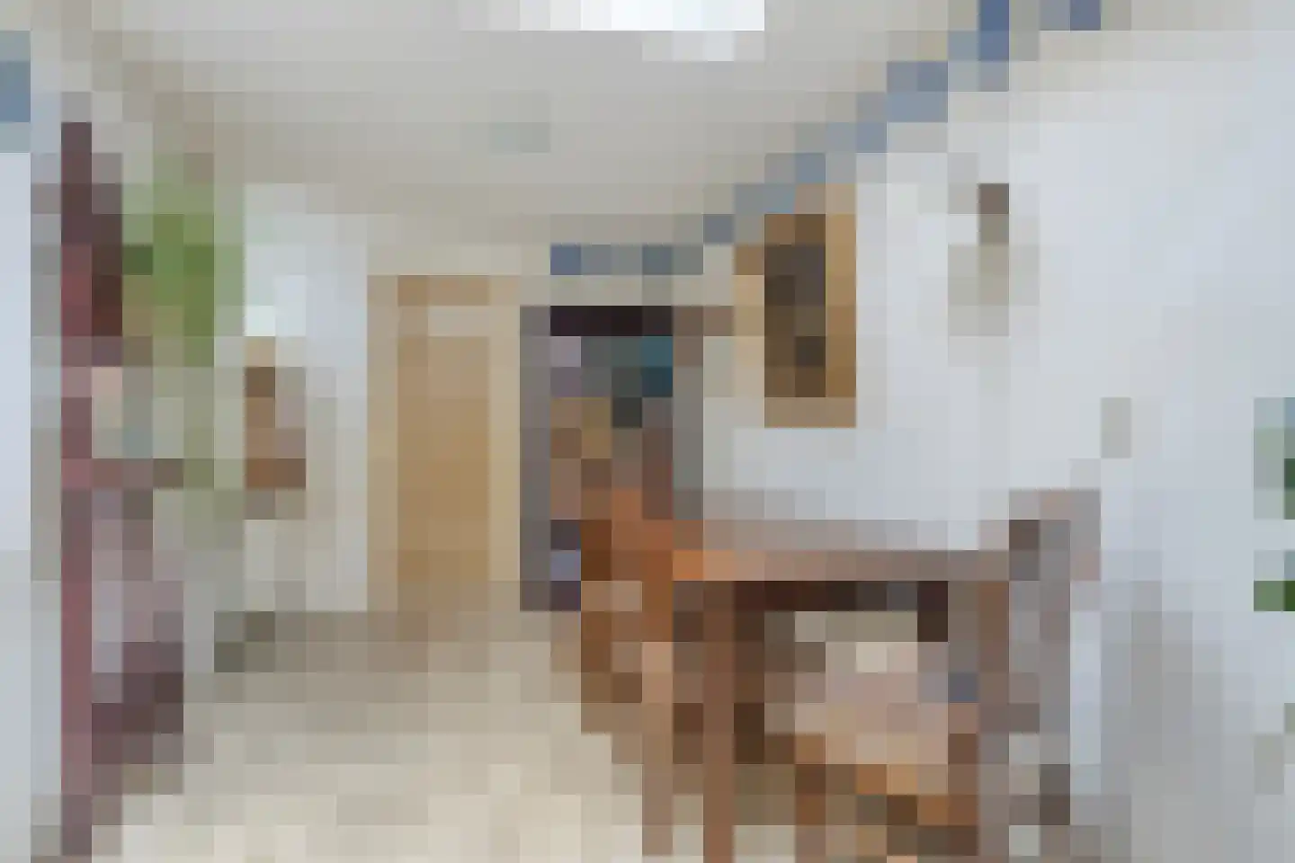 Noordstraat 21 Borssele thumbnail 15