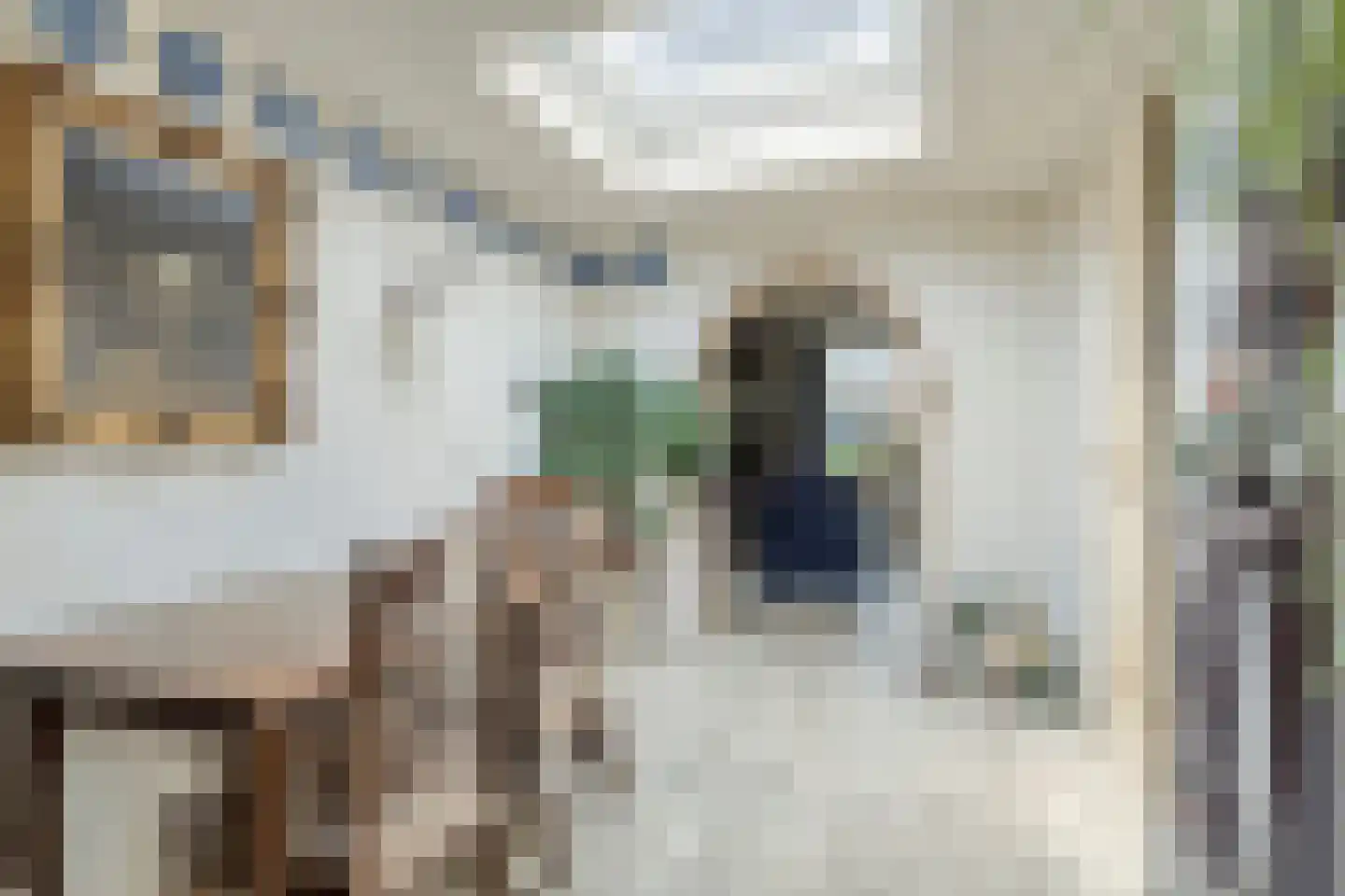 Noordstraat 21 Borssele thumbnail 16