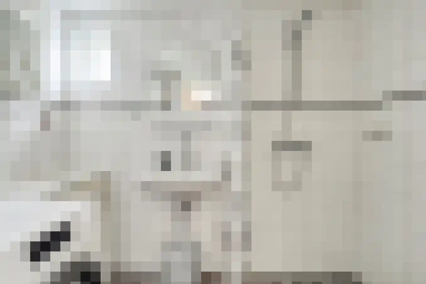 Noordstraat 21 Borssele thumbnail 18