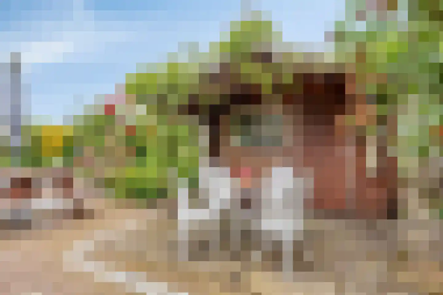 Noordstraat 21 Borssele thumbnail 25