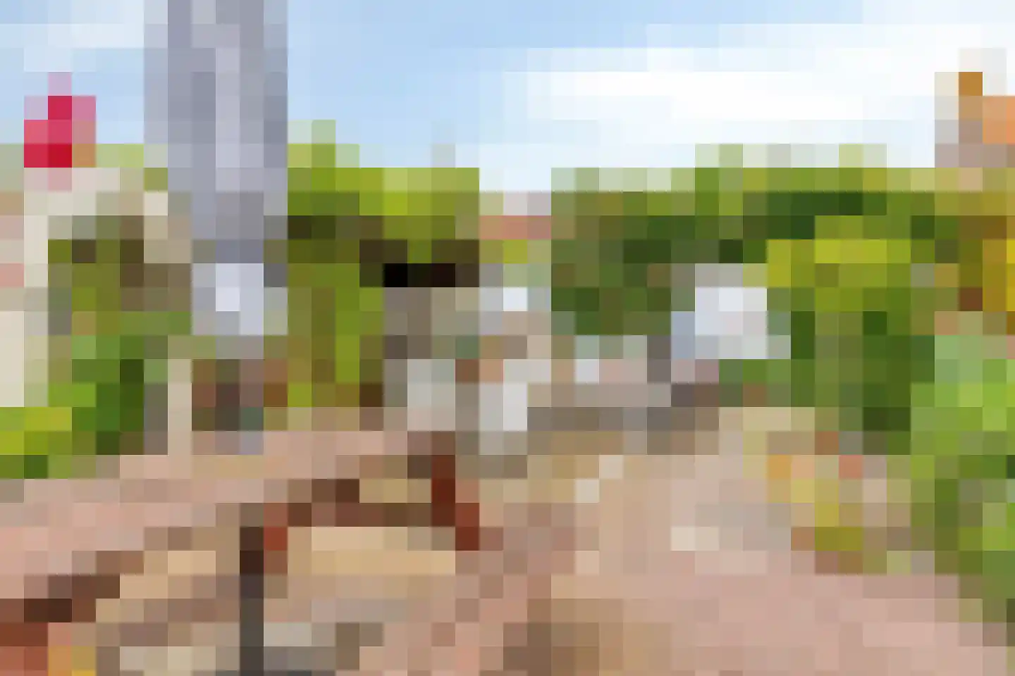 Noordstraat 21 Borssele thumbnail 27