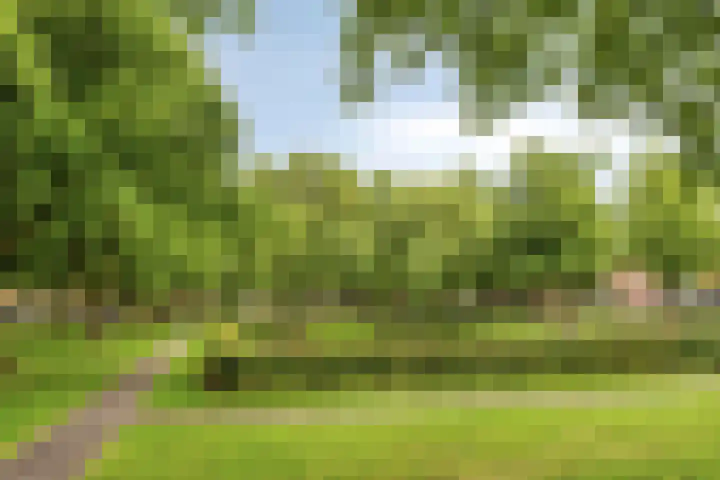 Noordstraat 21 Borssele thumbnail 30