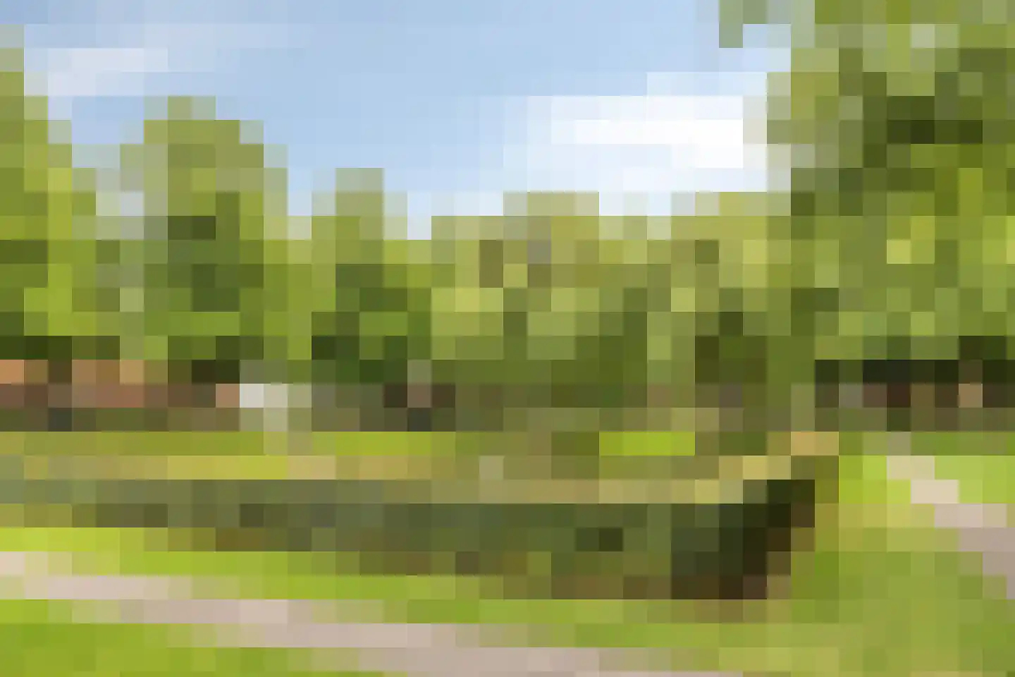 Noordstraat 21 Borssele thumbnail 31