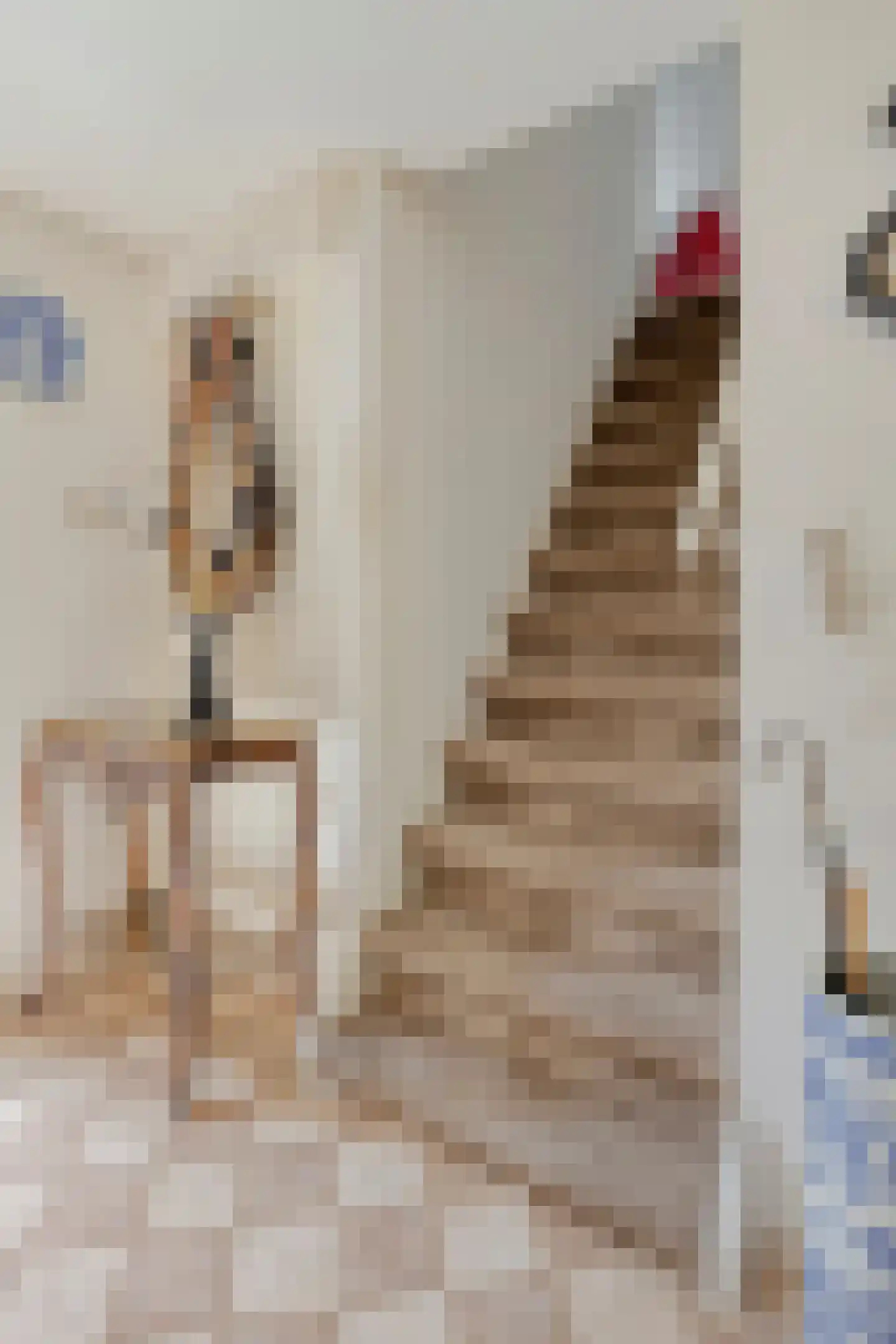 Noordstraat 21 Borssele thumbnail 6