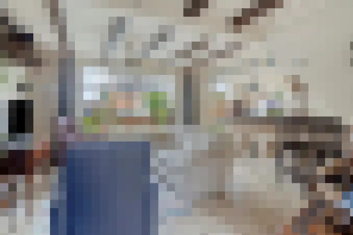 Noordstraat 21 Borssele thumbnail 7