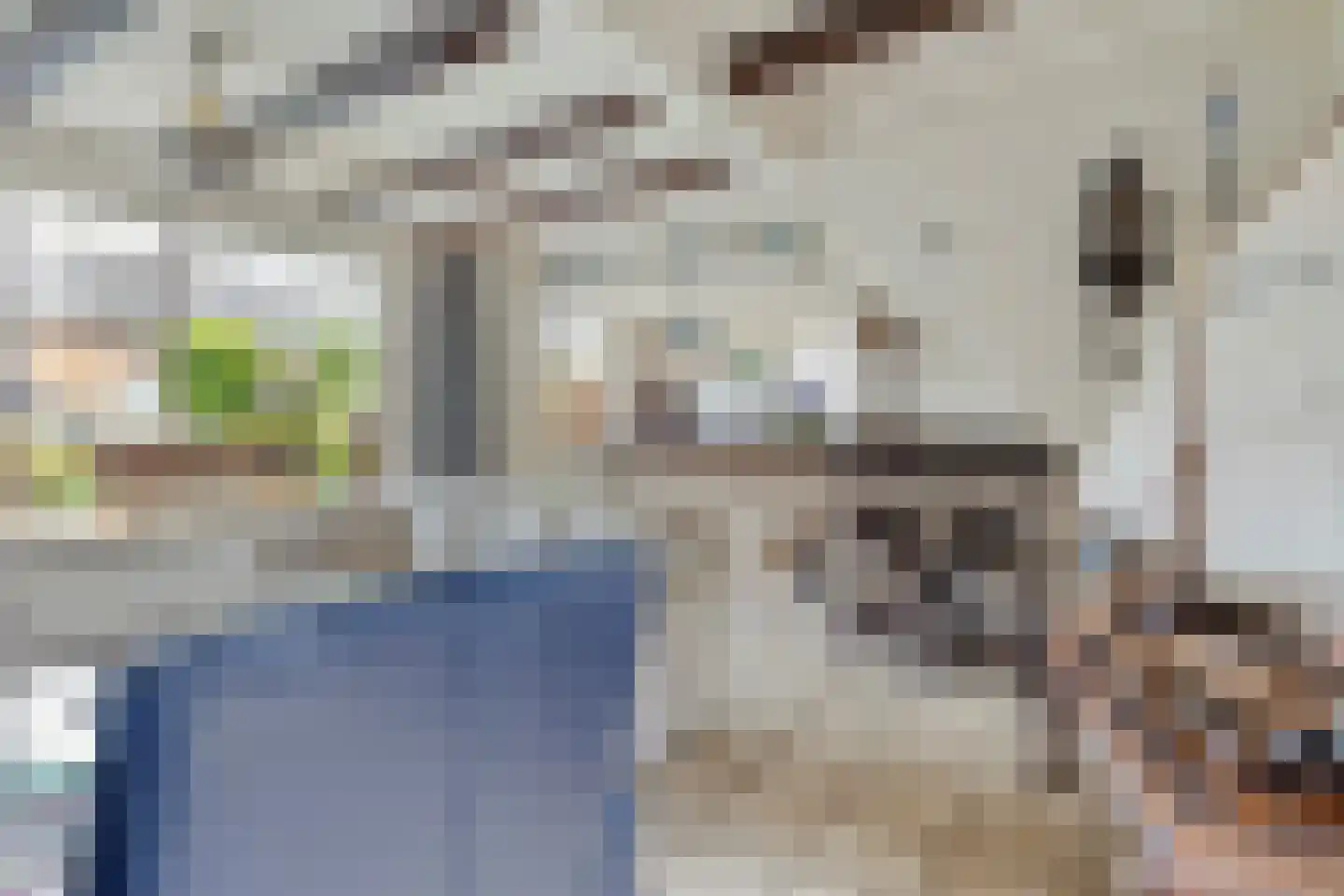 Noordstraat 21 Borssele thumbnail 8