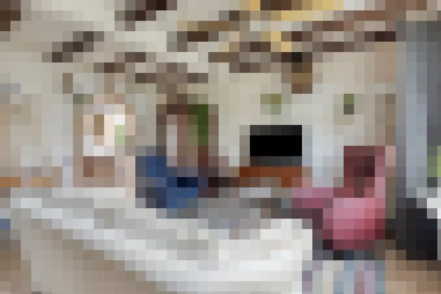 Noordstraat 21 Borssele thumbnail 9