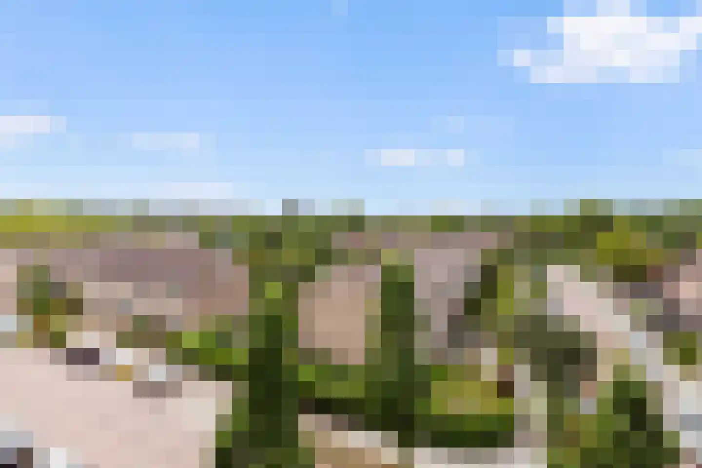 Noordstraat 21 c Ridderkerk thumbnail 27