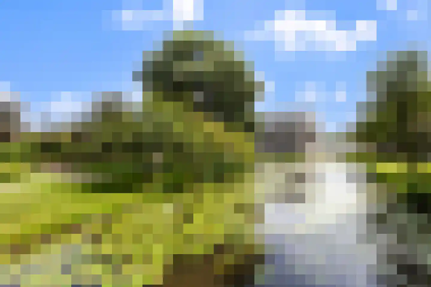 Noordstraat 21 c Ridderkerk thumbnail 39
