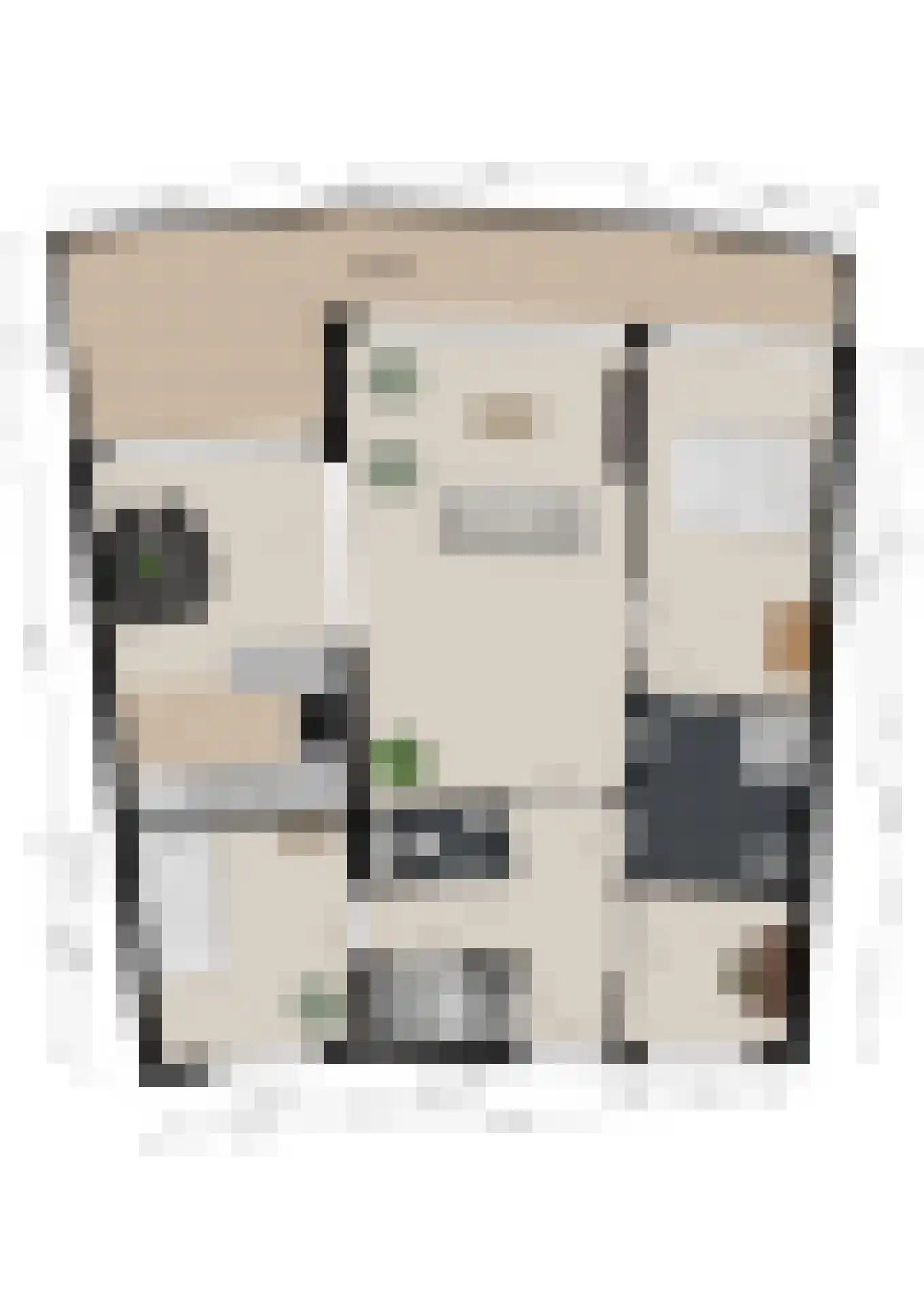 Noordstraat 21 c Ridderkerk thumbnail 42