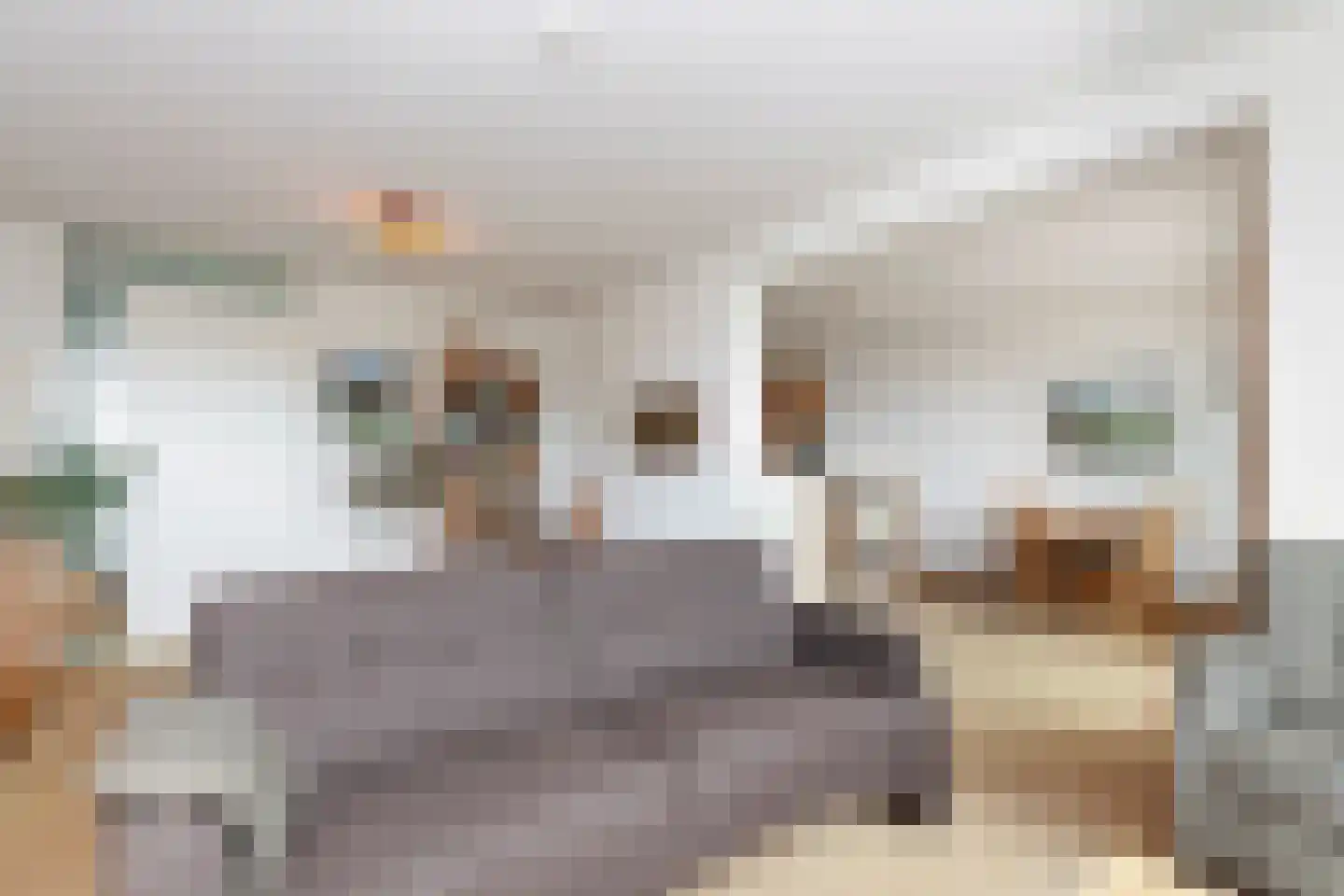 Noordstraat 21 c Ridderkerk thumbnail 6