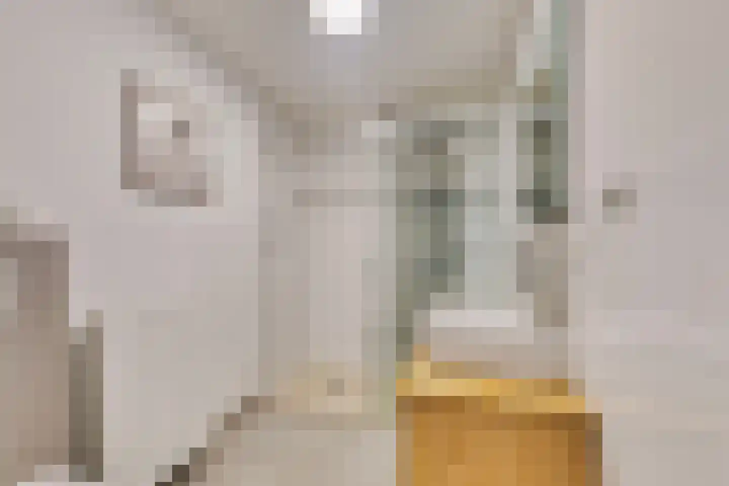 Noordstraat 21 Domburg thumbnail 19