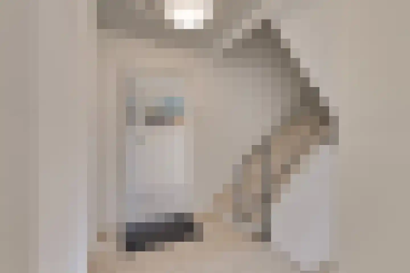 Noordstraat 21 Domburg thumbnail 7