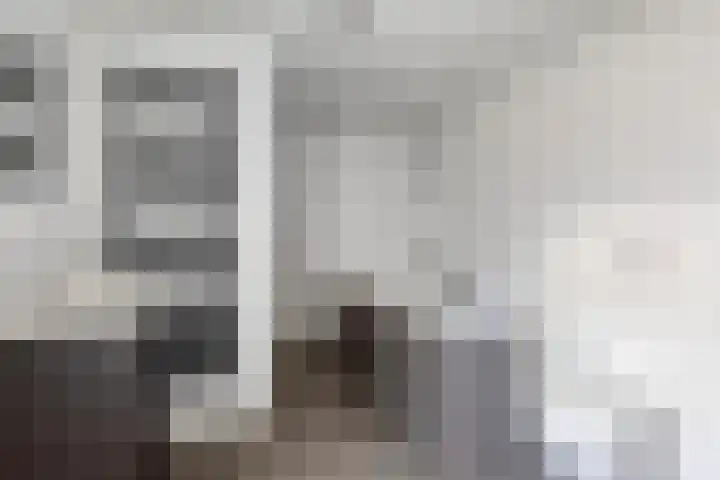 Noordstraat 21 Kamperland thumbnail 17