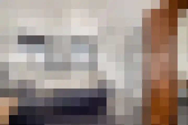Noordstraat 21 Kamperland thumbnail 21