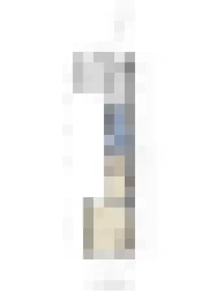 Noordstraat 21 Kamperland thumbnail 30