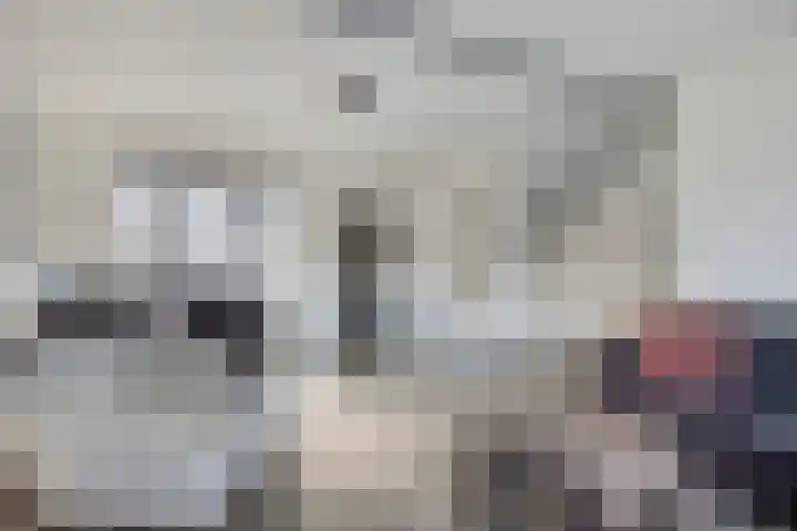 Noordstraat 21 Kamperland thumbnail 7