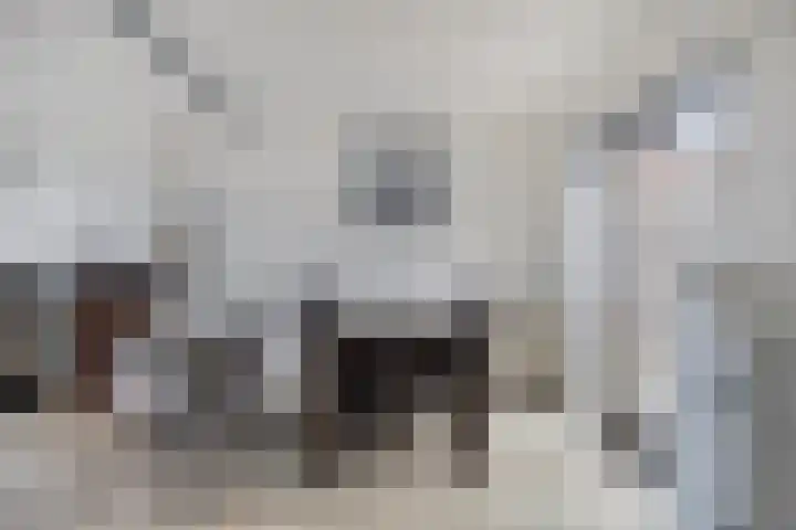 Noordstraat 21 Kamperland thumbnail 9