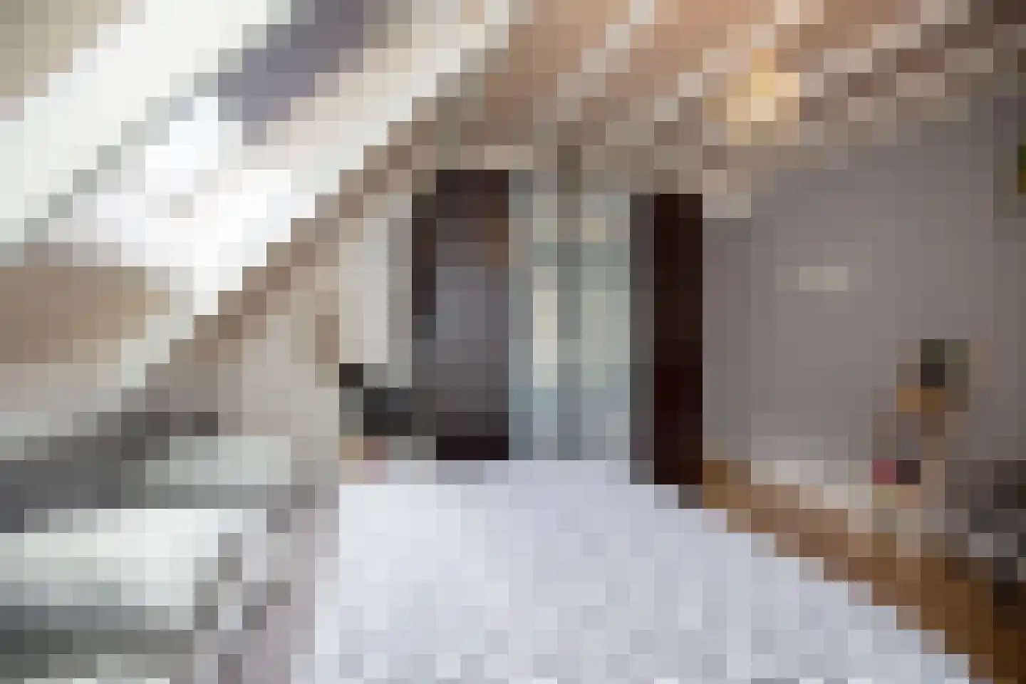 Noordstraat 22 b Bodegraven thumbnail 23