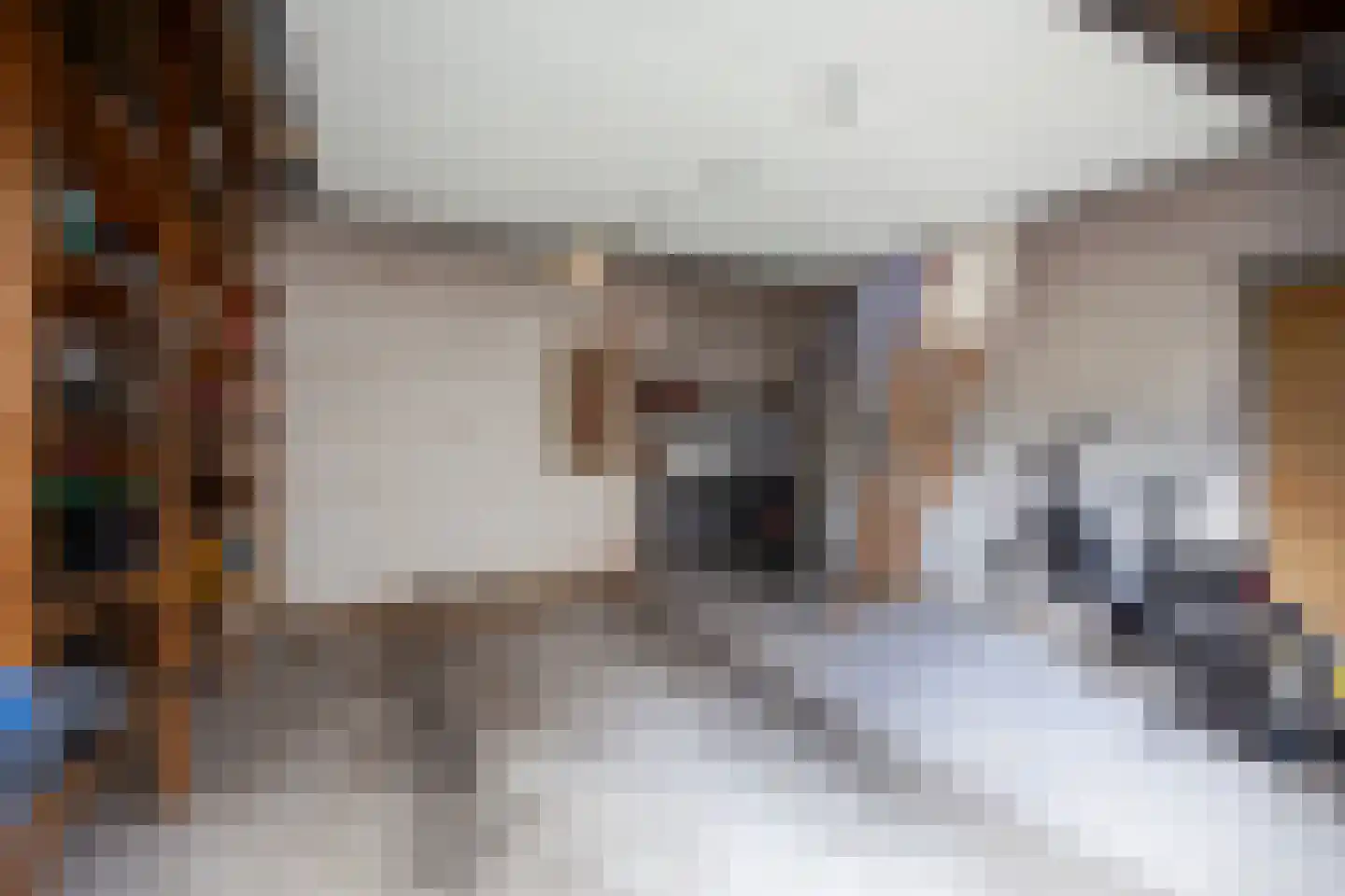 Noordstraat 22 b Bodegraven thumbnail 35
