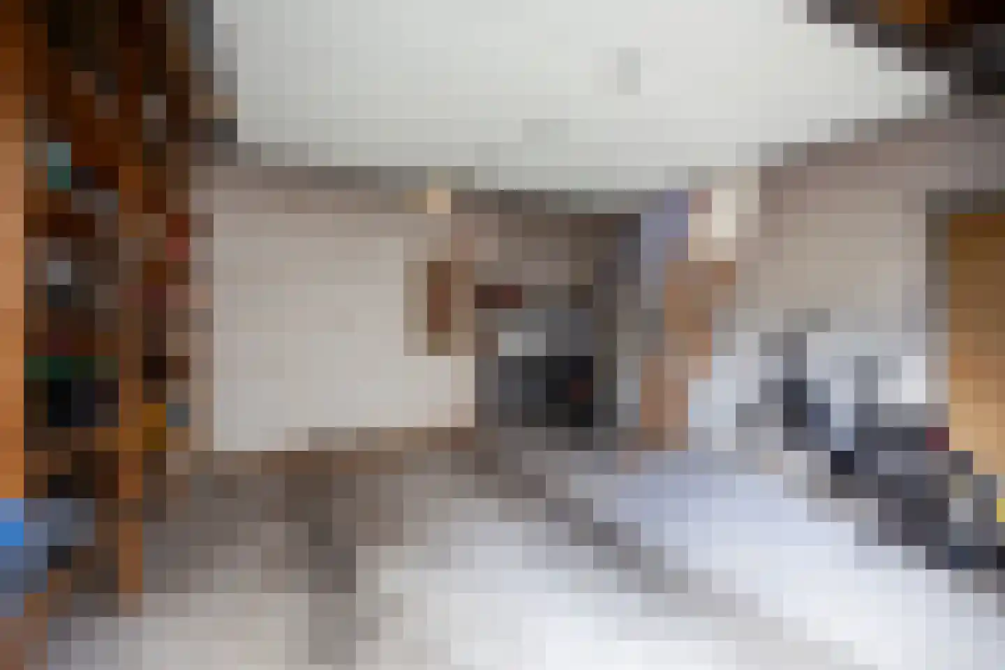 Noordstraat 22 b Bodegraven thumbnail 7