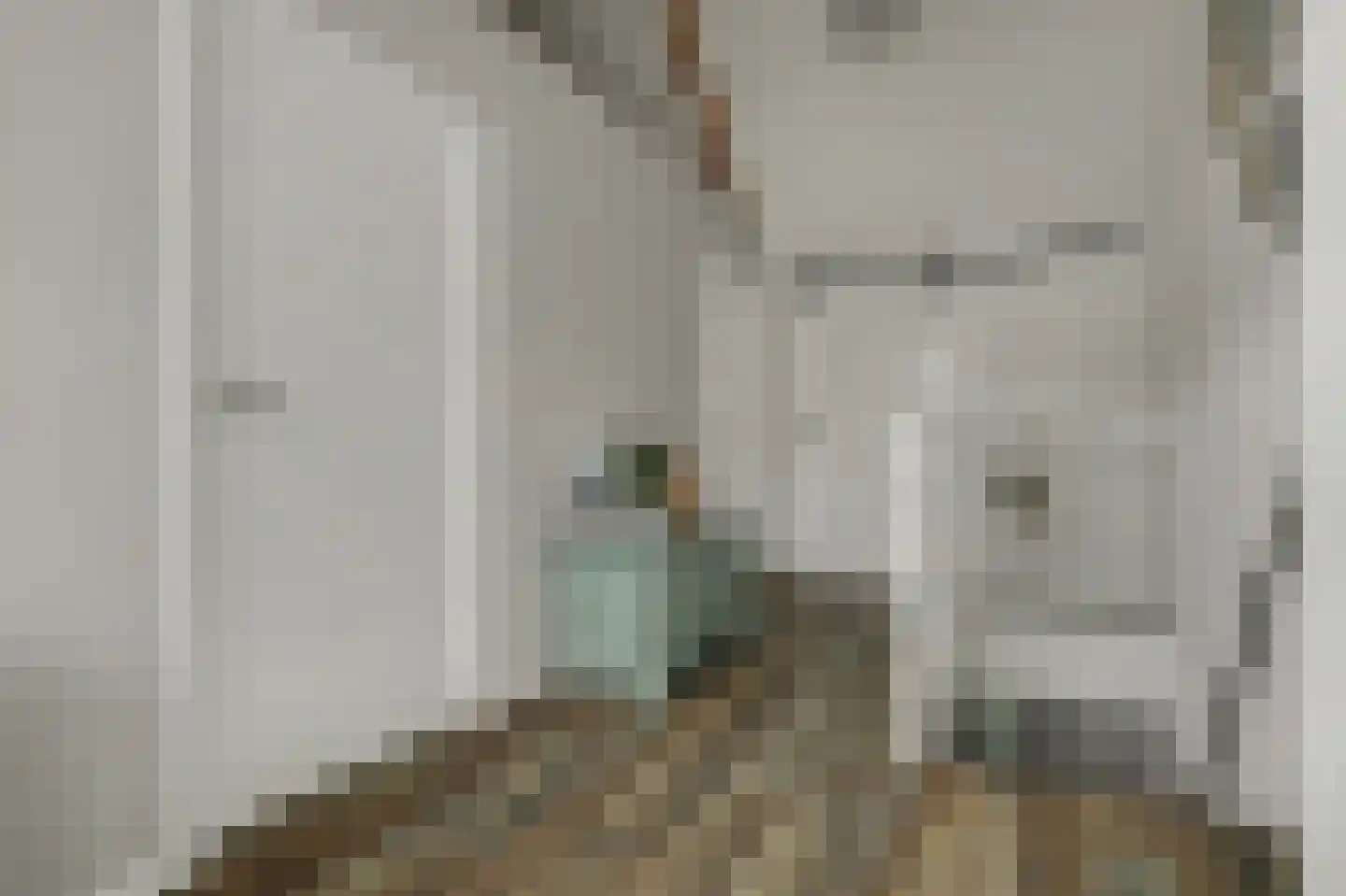 Noordstraat 22 Kapelle thumbnail 19