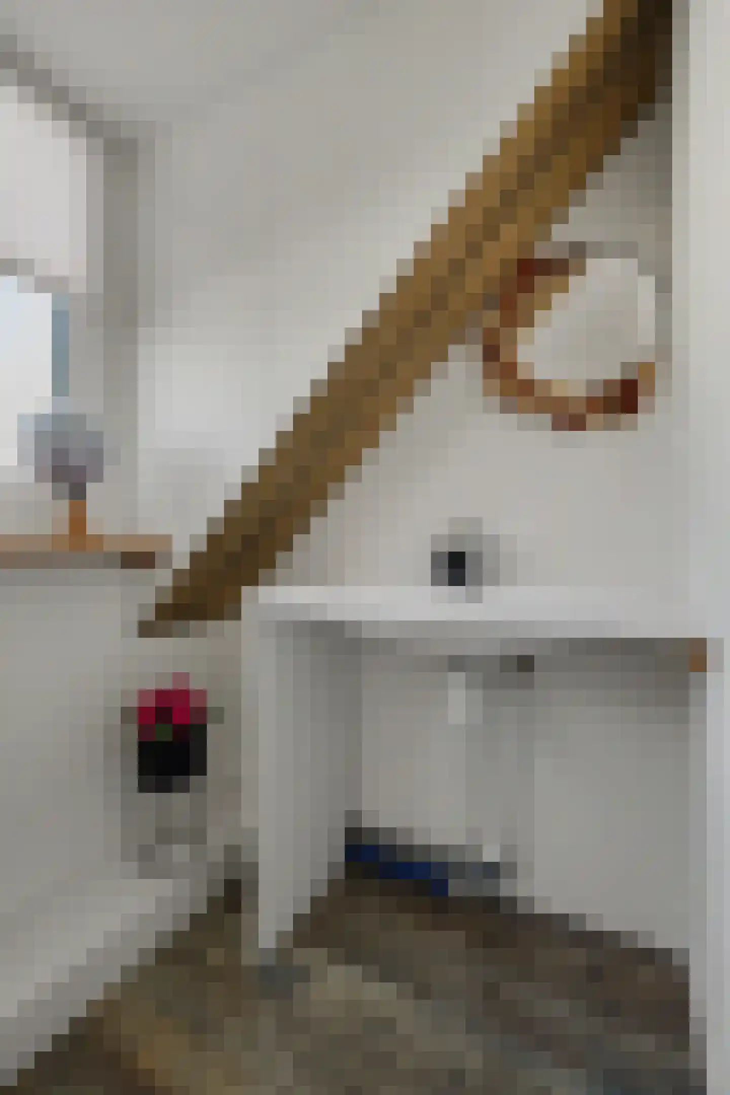 Noordstraat 22 Kapelle thumbnail 29