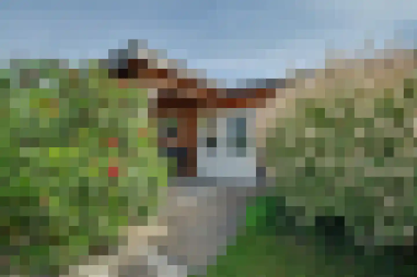 Noordstraat 22 Kapelle thumbnail 30