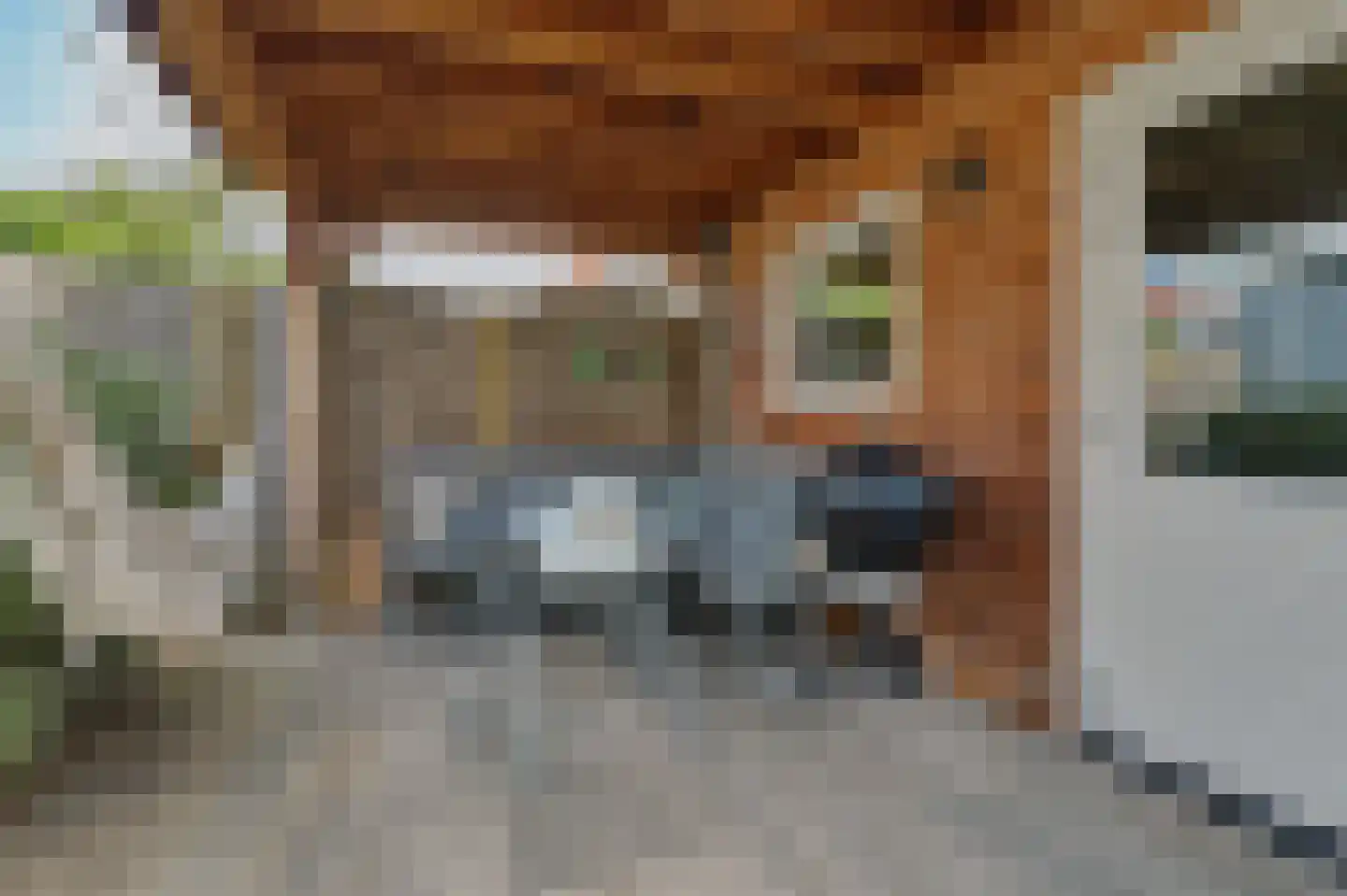 Noordstraat 22 Kapelle thumbnail 31