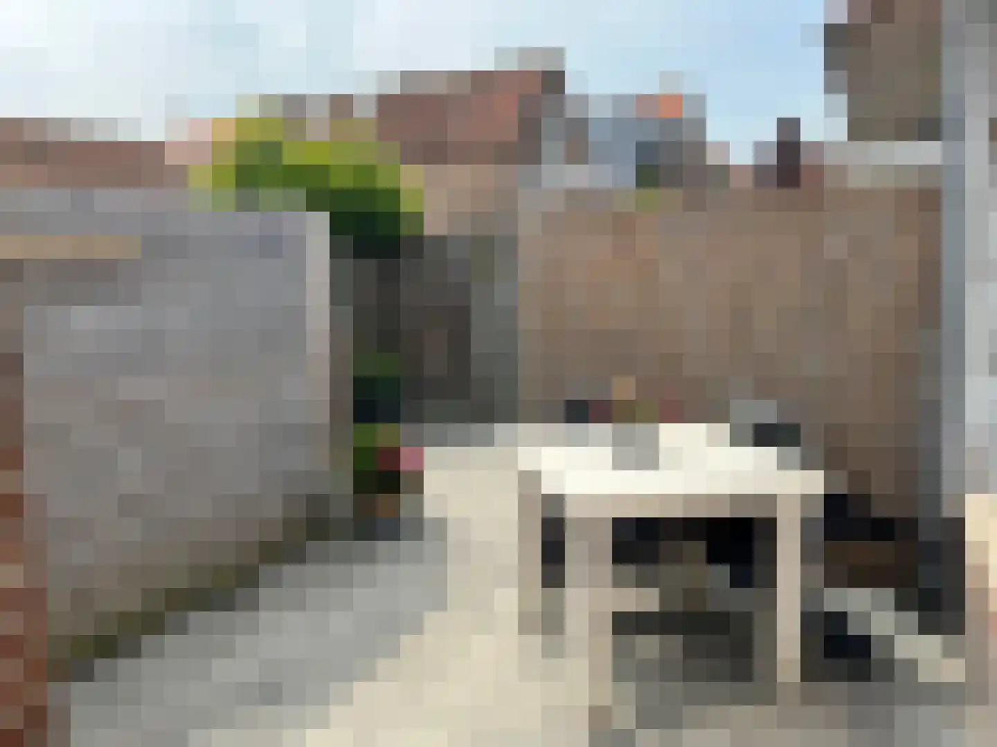 Noordstraat 22 Zoutelande thumbnail 15