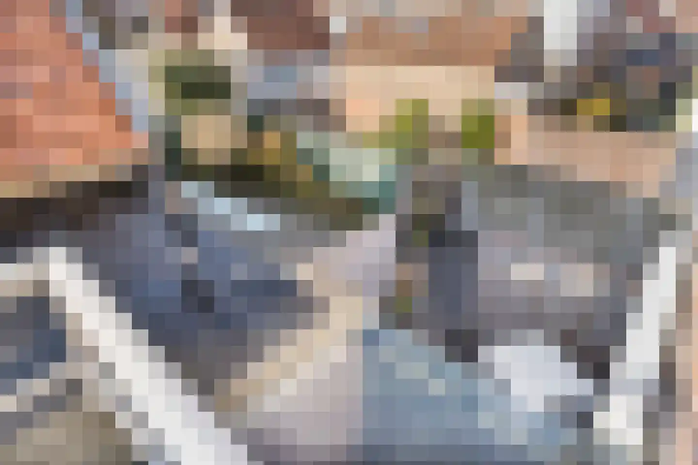 Noordstraat 22 Zoutelande thumbnail 22