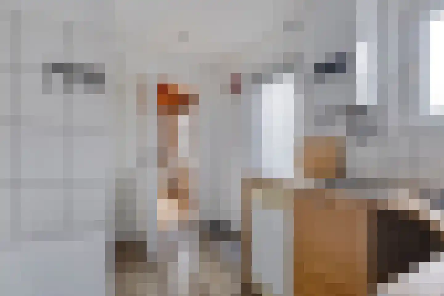 Noordstraat 22 Zoutelande thumbnail 31