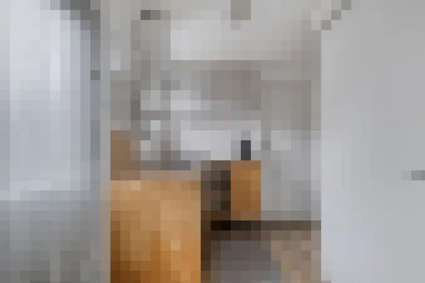 Noordstraat 22 Zoutelande thumbnail 32