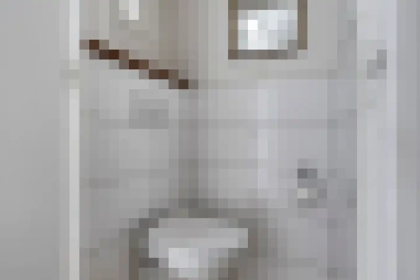 Noordstraat 22 Zoutelande thumbnail 7