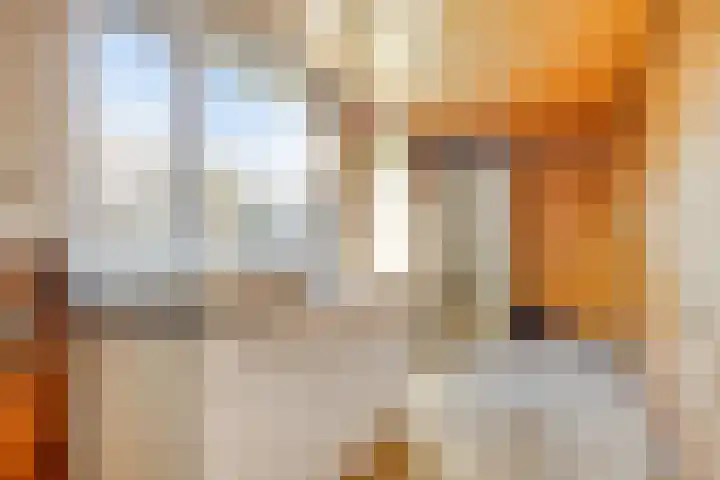 Noordstraat 23 Arnemuiden thumbnail 10