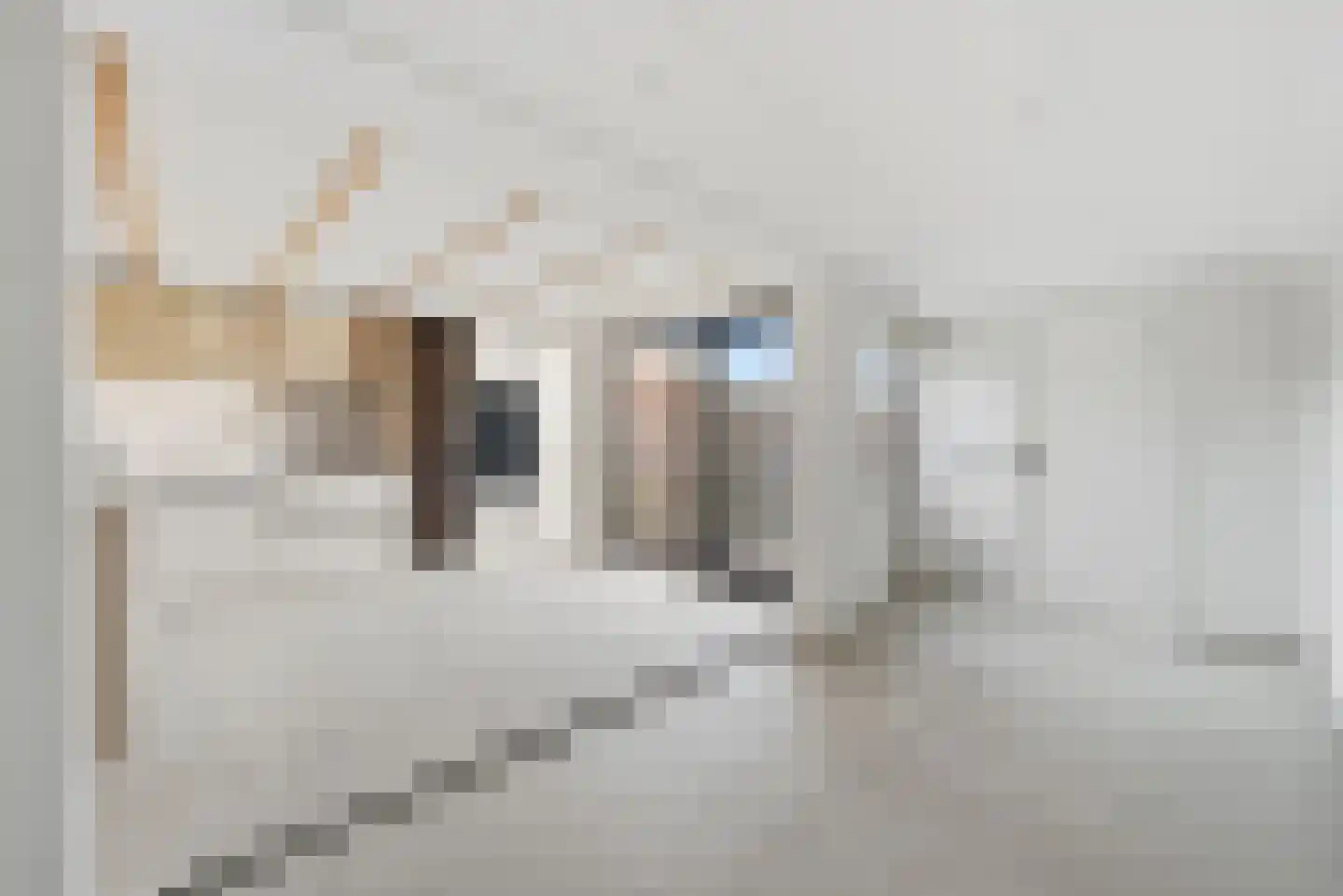 Noordstraat 23 Arnemuiden thumbnail 10