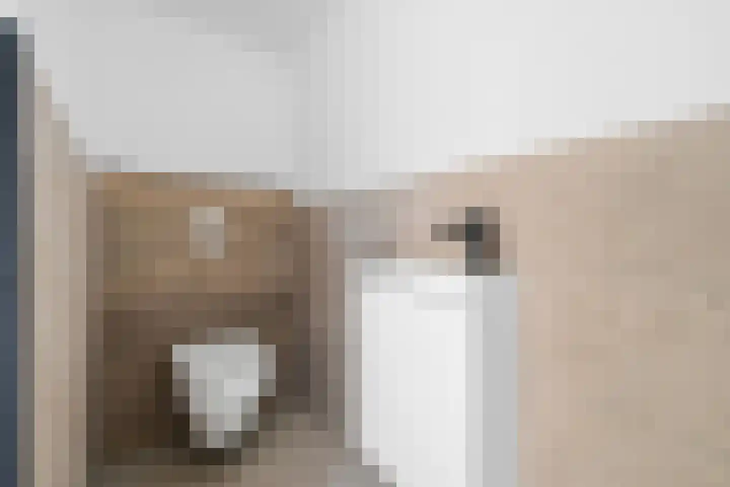 Noordstraat 23 Arnemuiden thumbnail 11