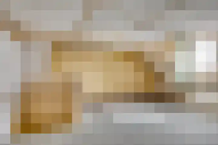 Noordstraat 23 Arnemuiden thumbnail 12