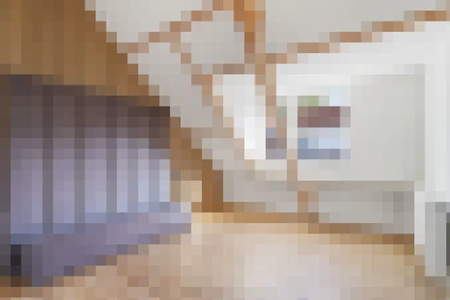 Noordstraat 23 Arnemuiden thumbnail 13