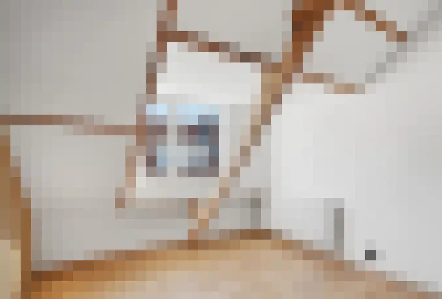 Noordstraat 23 Arnemuiden thumbnail 15