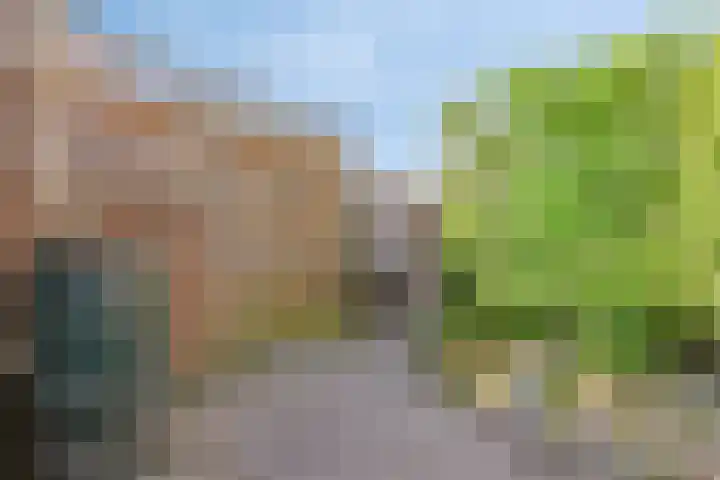 Noordstraat 23 Arnemuiden thumbnail 16