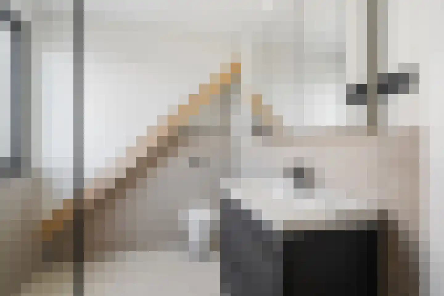 Noordstraat 23 Arnemuiden thumbnail 21