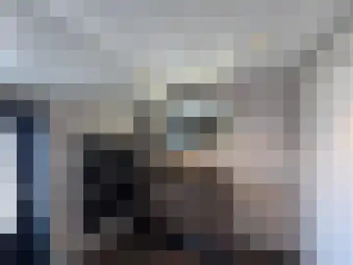 Noordstraat 26 Biervliet thumbnail 12