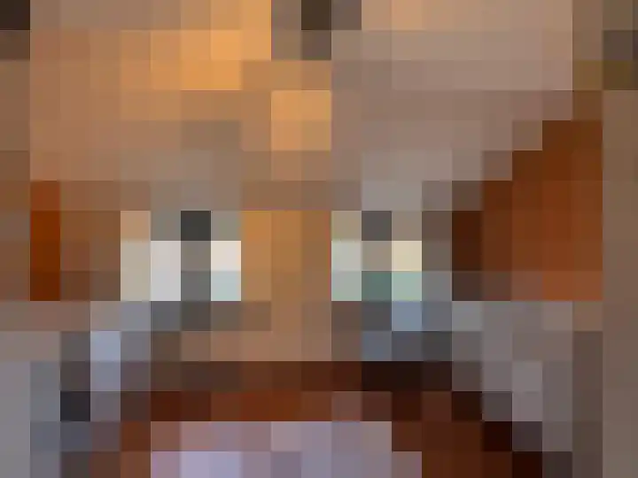 Noordstraat 26 Biervliet thumbnail 13