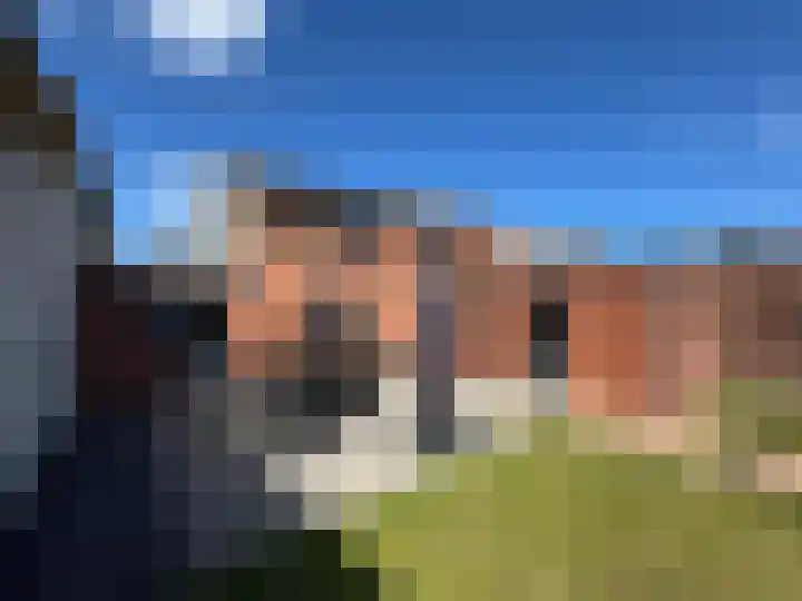 Noordstraat 26 Biervliet thumbnail 15