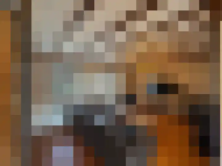 Noordstraat 26 Biervliet thumbnail 5