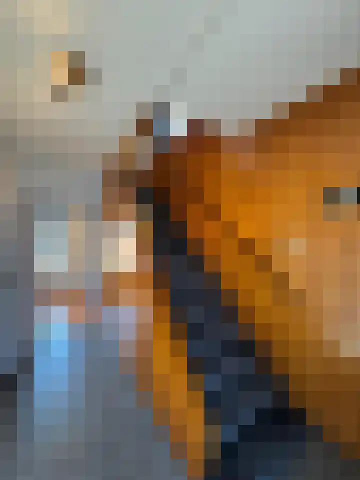 Noordstraat 26 Biervliet thumbnail 8